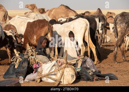 Style de vie nomade dans le désert du Tchad Banque D'Images