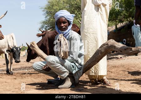 Homme dans un marché aux bovins au tchad Banque D'Images