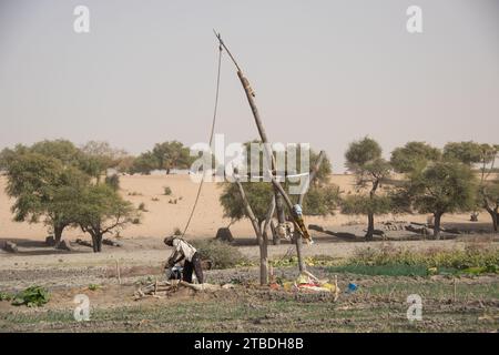 La vie autour d'un puits désertique au tchad Banque D'Images