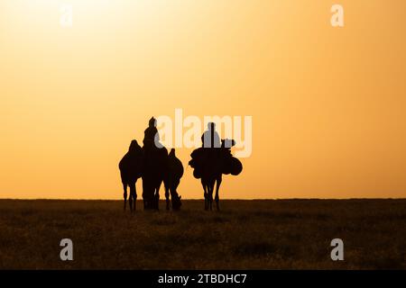 coucher de soleil magique dans le désert, tchad, afrique Banque D'Images