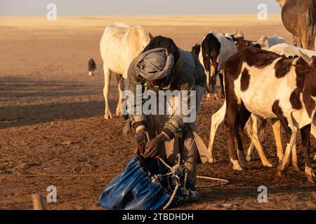 La vie autour d'un puits désertique au tchad Banque D'Images