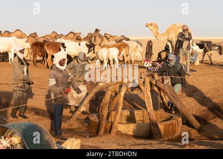 La vie autour d'un puits désertique au tchad Banque D'Images