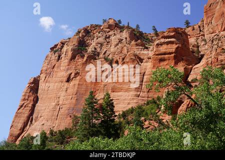 Parc national de Zion (UT, États-Unis) Banque D'Images