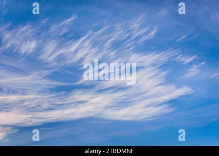 Nuages Cirrus de haute altitude - sud-Touraine, centre de la France. Banque D'Images