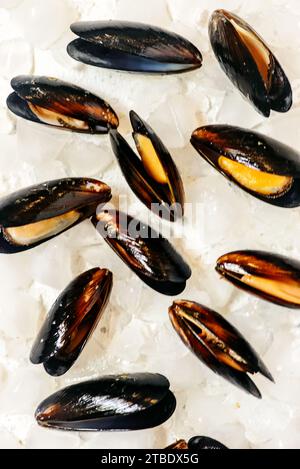 Moules fraîches, crues dans des coquilles sur ICE.Top View. style rustique. mise au point sélective Banque D'Images