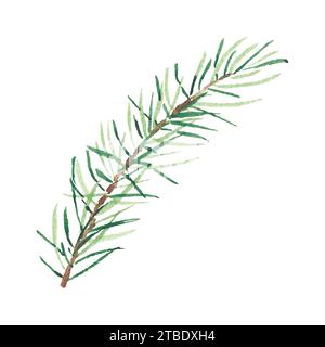 Aquarelle de Noël vert pin ou branches de sapin isolé sur un fond blanc. Illustration pour cartes de vœux, bannières, invitations, calendriers, logo Banque D'Images