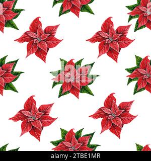 Motif sans couture de Noël avec des fleurs de poinsettia, illustration aquarelle peinte à la main isolée sur White.Illustration florale pour Noël. Banque D'Images