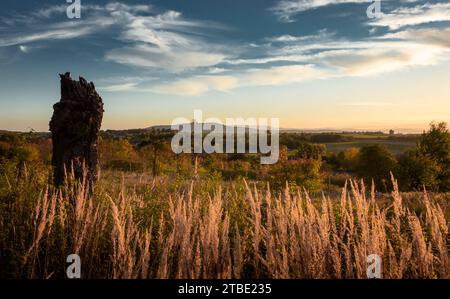Paysage de coucher de soleil à l'automne avec la montagne de Great Owl (Wielka Sowa), Pologne. Vieux tronc d'arbre séché au premier plan. Banque D'Images