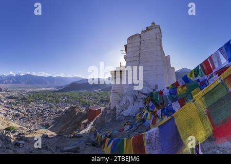 Le monastère Namgyal Tsemo Gompa, Tsenmo Hills, Leh, Ladakh, Jammu-et-Cachemire, Inde, Asie Banque D'Images