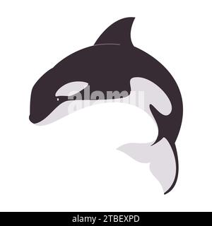 couleur noir et blanc orca grand animal mammifère marin grand prédateur tueur nature sauvage océan Illustration de Vecteur