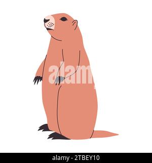 la marmotte de couleur brune ou la marmotte debout pose un rongeur de la nature sauvage et un animal mammifère Illustration de Vecteur