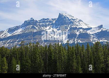 Mont Murchison et forêt verte, Canada Banque D'Images