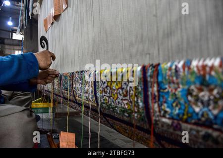 Un artisan cachemiri tisse un tapis traditionnel dans une usine de Srinagar, la capitale estivale du Jammu-et-Cachemire. Célèbres dans le monde entier pour leurs couleurs resplendissantes et leurs motifs complexes, les tapis tissés par les artisans du Jammu-et-Cachemire conservent un héritage séculaire dans leur tissage. Le magnifique métier de tissage de tapis a été apporté dans la vallée du Cachemire de Perse au 14e siècle. Les tapis Kashmiri sont populaires dans le monde entier pour leur matériau de qualité et leur authenticité et sont spécifiquement connus pour être faits à la main et uniques dans leur style exquis. La demande continue pour carpe Banque D'Images