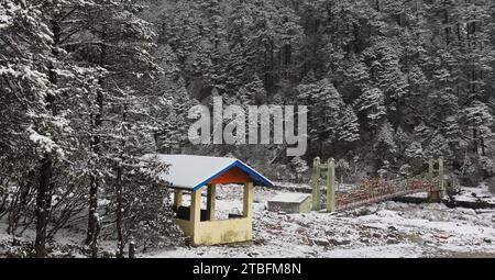 vallée givrée et enneigée de yumthang entourée de forêts de conifères et de montagnes de l'himalaya dans le nord du sikkim, en inde Banque D'Images