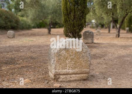 Pierres tombales romaines et cyprès du cimetière romain de la zone funéraire Los Columbarios à Mérida, Espagne. Banque D'Images