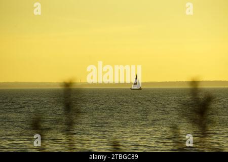 Un voilier navigue gracieusement sur une mer sous un coucher de soleil sans nuages, projetant une teinte dorée tandis que les rayons du soleil se reflètent sur l'eau, des tons jaunes. Mer Baltique. Banque D'Images