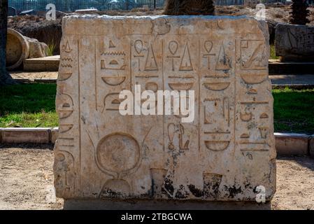 Ecriture hiéroglyphique dans la pierre. Musée en plein air mit Rahina. Memphis. Égypte Banque D'Images