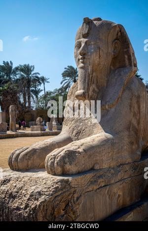 Sphinx de Memphis, musée en plein air de Memphis, Egypte Banque D'Images