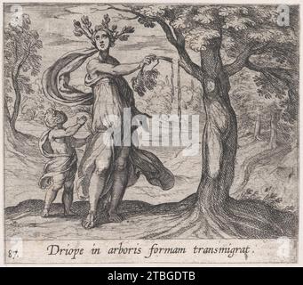 Planche 87 : Dryope changée en arbre à Lotus (Driope in arboris formam transmigrat), tiré de 'Métamorphoses' 1951 d'Ovide par Antonio Tempesta Banque D'Images