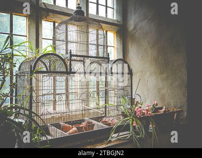 Une cage à oiseaux en fer de style ancien située sur un rebord de fenêtre, ornée de plantes vertes Banque D'Images
