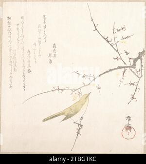Nouvelle Lune ; Nightingale on a Plum Branch 1929 par Ryuryukyo Shinsai Banque D'Images