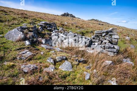 Ruines d'une cabane en pierre sur la pente de West Mill Tor, parc national de Dartmoor, Devon, Royaume-Uni. Banque D'Images