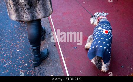 Chien dans un manteau de Noël à Edimbourg Noël 2023 – dans Princes Street Gardens, Edimbourg Banque D'Images