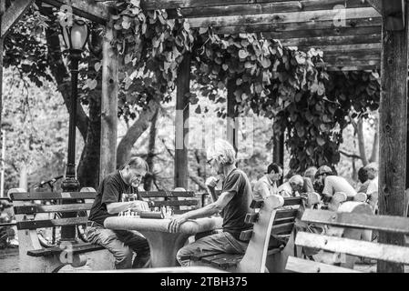 Joueurs d'échecs et vie publique à Central Park, New York, États-Unis. Banque D'Images