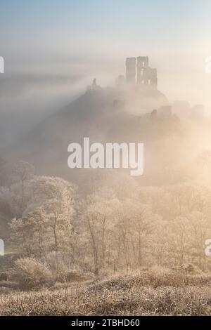 Hoar Frost et brouillard glacial au château de Corfe dans les collines de Purbeck, Dorset, Angleterre. Hiver (février) 2023. Banque D'Images