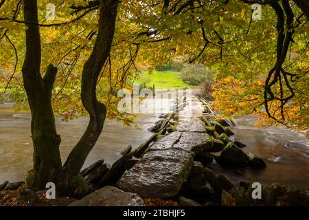 Feuillage automnal au-dessus des marches de Tarr Pont de clapper au-dessus de la rivière Barle dans le parc national d'Exmoor, Somerset, Angleterre. Automne (octobre) 2023. Banque D'Images