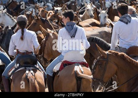 saca de las yeguas festival El Rocio Huelva province Espagne Banque D'Images