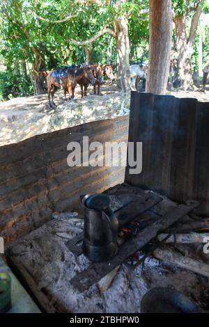 Vue à un café sur le feu dans la campagne rurale près de Vinales sur Cuba Banque D'Images