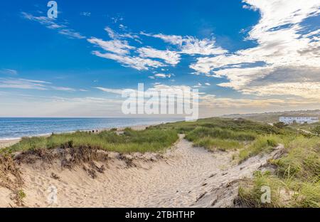 vue aérienne basse de la plage du parc kirk, montauk Banque D'Images