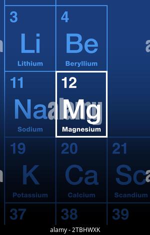 Magnésium sur le tableau périodique des éléments. Métal alcalino-terreux de symbole mg et de numéro atomique 12. Onzième élément le plus abondant dans le corps humain. Banque D'Images