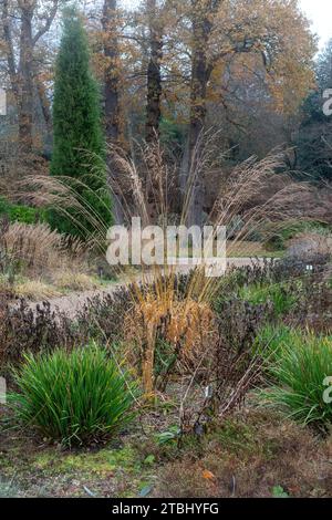 Vue sur Savill Gardens en décembre ou en hiver, frontière du Surrey Berkshire, Angleterre, Royaume-Uni Banque D'Images