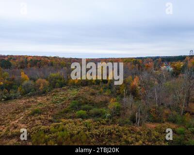 Photos de drone d'un complexe d'appartements montrant de belles couleurs d'automne. Banque D'Images