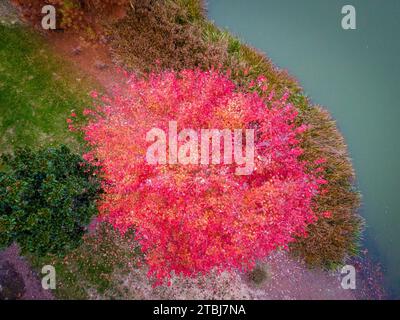 Photos de drone d'un complexe d'appartements montrant de belles couleurs d'automne. Banque D'Images