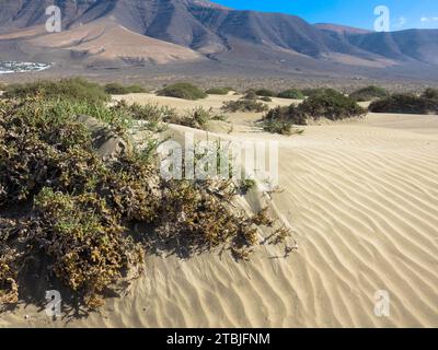 Vue panoramique sur la plage de Famara. En arrière-plan, les montagnes Risco de Famara. Îles Canaries, Espagne, Europe Banque D'Images