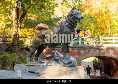 Statue en bronze du chien de traîneau BALTO par Frederick George Richard Roth Central Park, New York City, États-Unis d'Amérique. Banque D'Images