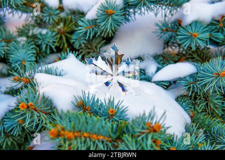 Grand flocon de neige confectionné dans un cristal scintillant, délicatement perché sur un lit de branches de sapin enneigées. Fond étincelant de saison d'hiver. Banque D'Images