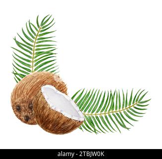 Feuilles de palmier vert et demi-une illustration de noix de coco cassées. Aquarelle dessinée à la main clip art de fruits exotiques. Peinture tropicale pour invitations de mariage Banque D'Images