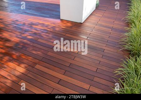 Patio de planches de bois dur IPE, idée avec herbe à feuilles persistantes sur le côté du plancher de planches de bois exotiques Banque D'Images