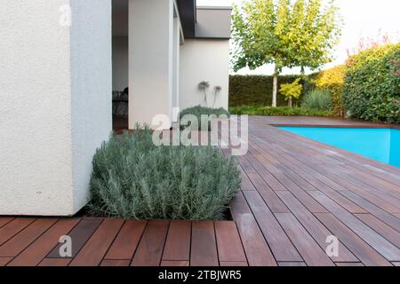 Terrasse de jardin au bord de la piscine avec murs blancs et pots à récurer lavande sur planches de bois Banque D'Images