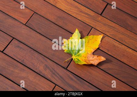 Belle feuille d'érable sur des planches de bois ipe, fond de texture de terrasse de bois franc Banque D'Images