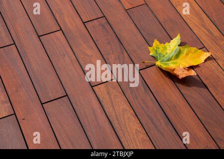 Planches de texture de bois IPE avec symbole de saison d'automne Banque D'Images