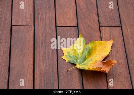 Feuille d'automne sur fond de planches de terrasse de texture de bois Banque D'Images