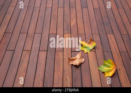 Feuilles d'érable d'automne tombées sur la terrasse de bois franc, texture de grain de bois espace de copie d'arrière-plan Banque D'Images