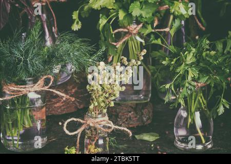 Des bocaux avec des petits pains d'herbes vertes fraîches bio de jardin se tiennent sur la table contre un fond sombre, touche basse. Cuisine encore vie Banque D'Images