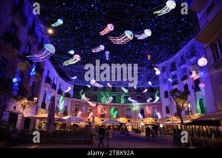 Une place historique avec une mer pleine de méduses. À partir du 24 novembre à Salerne peut être visité le soi-disant 'Luci d'Artista'. Toutes les rues de la vieille ville et de nombreux quartiers du centre-ville sont illuminés de beaux dessins colorés. Chaque jour, à partir de 17:00, les lumières s’allument et créent une atmosphère magique et évocatrice. Les installations d'éclairage sont créées par des artistes de renommée internationale et sont un mélange de créativité, d'innovation et de tradition. (Photo Pasquale Senatore/Pacific Press) Banque D'Images