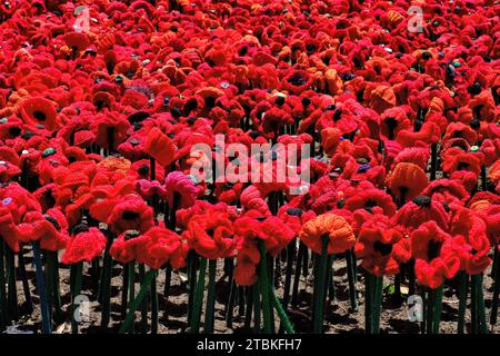 Perth : masse de coquelicots rouges colorés au State War Memorial pour le jour du souvenir, Kings Park, Perth, Australie occidentale Banque D'Images